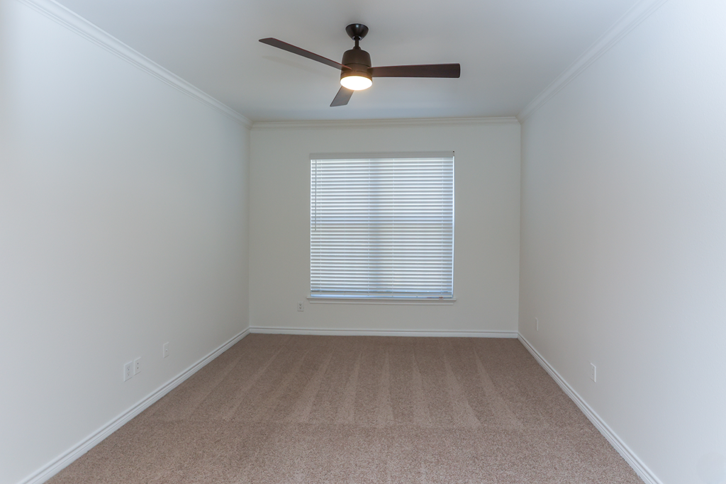 A room with a ceiling fan and carpeted floor.